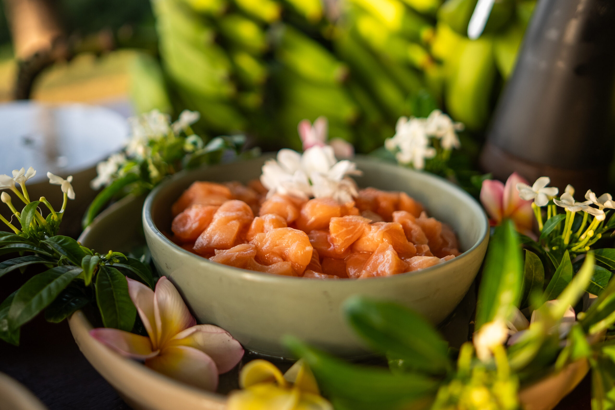 Um prato feito com pedaços de peixe em uma apresentação sofisticada no Festival Gastronômico Carmel