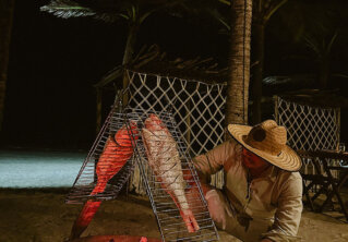 31 IMG_7384 copiar 2